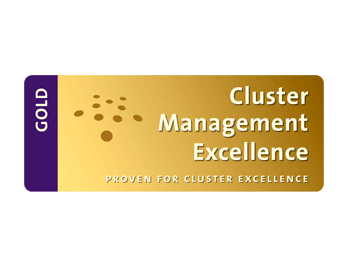 Logo Cluster Managament Excellence